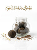 معمول سرغينة بالعود